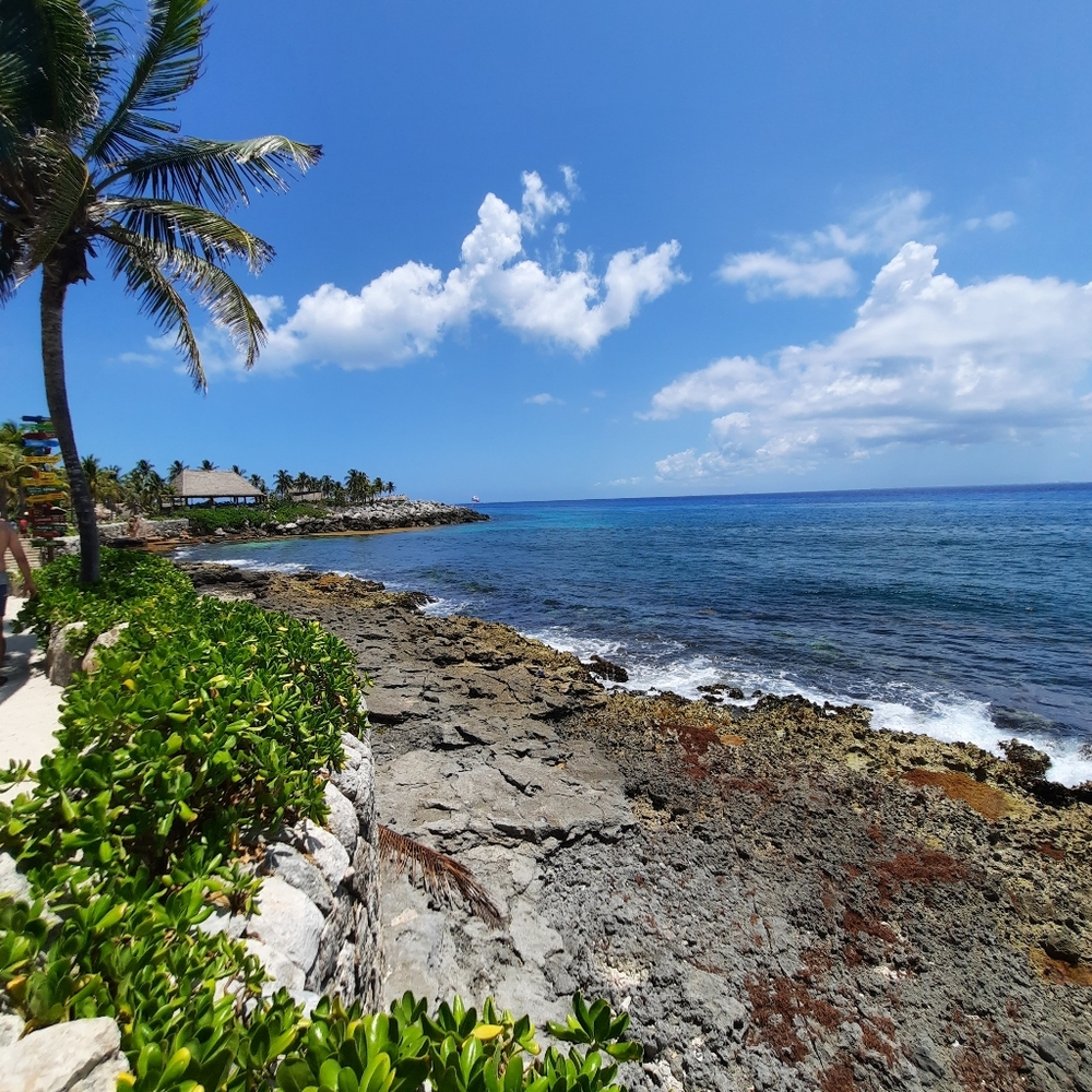 Meet your Posher, Rosio